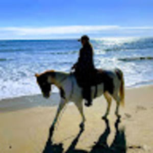 Meet your Posher, Elena